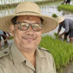 Ekonom Konstitusi Soroti Logika Swasembada Pangan (Beras) yang Mengada-ada Amran Sulaiman