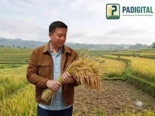 Peran Strategis Padigital Dalam Ketahan Moneter Indonesia