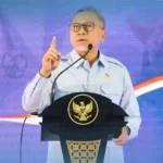 Padi-Sawit