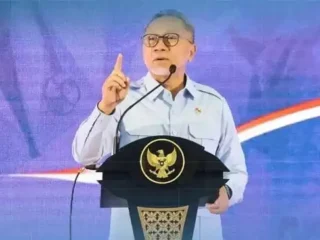 Padi-Sawit
